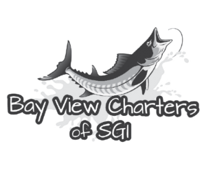 Bay View_Web