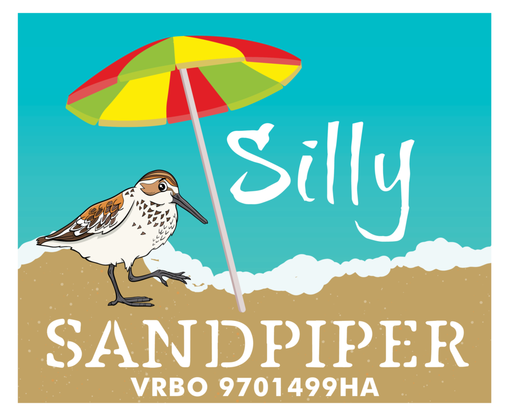 Silly Sandpiper_web